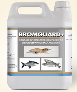 Gutcare Probitic-Gut Probitic