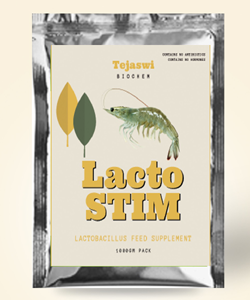 Lactostim
